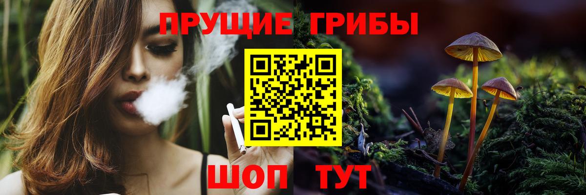 Владивосток  Псилоцибиновые грибы GOLDEN TEACHER  Вход с VPN 