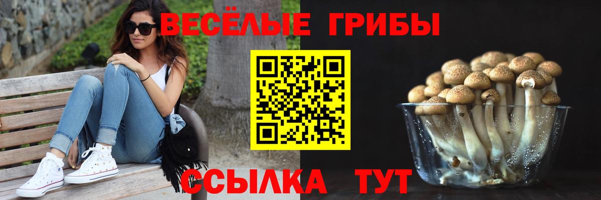 Галлюциногенные грибы мицелий Владивосток